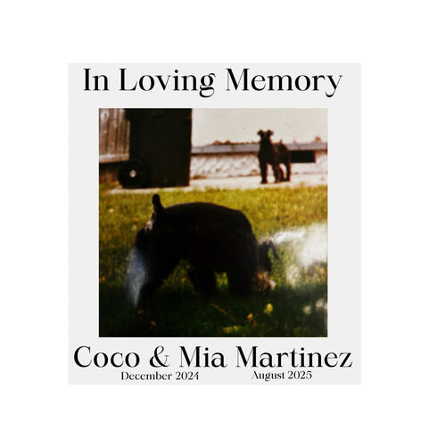 Panel from “After God” by Sumi Eno Panel from “After God” by Sumi Eno